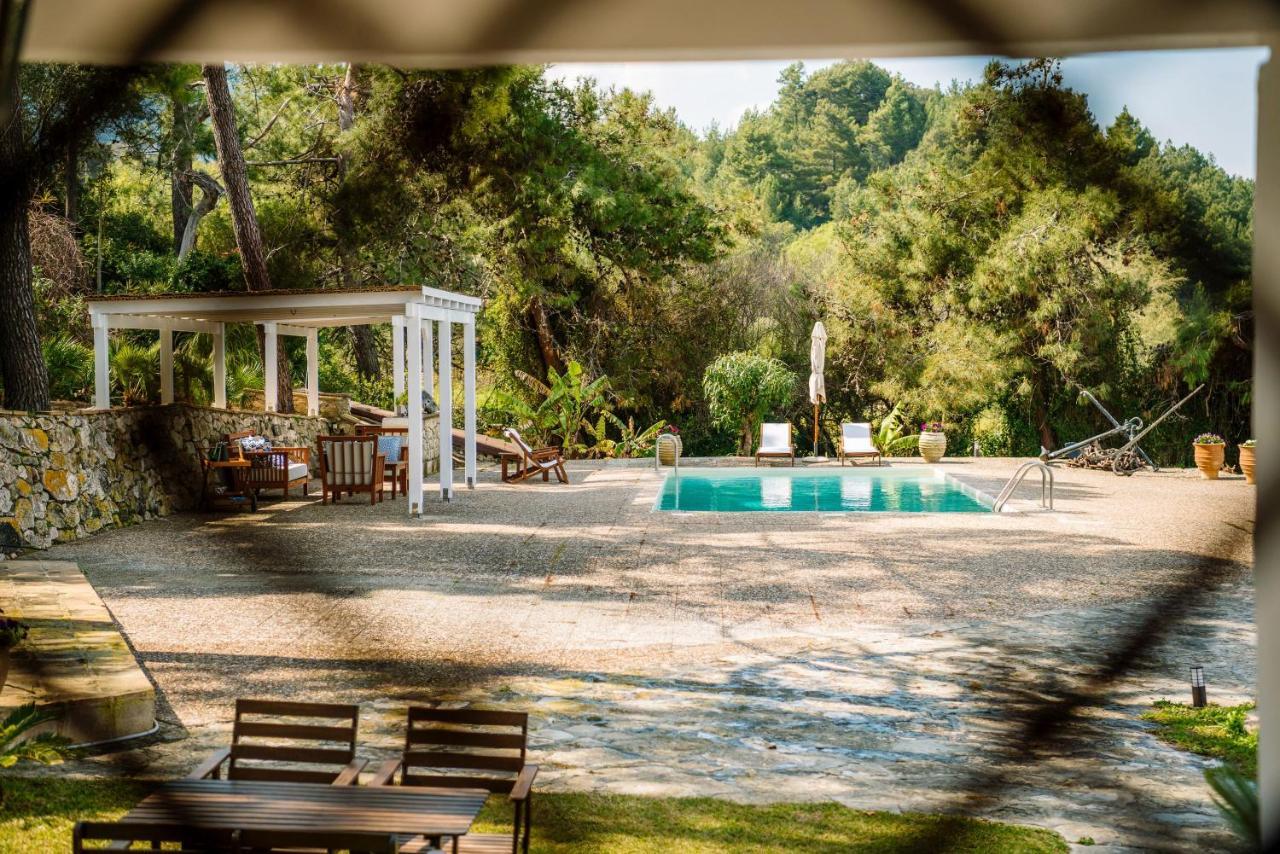 Azzuro Beach House - On The Beach & Private Pool, By Zantewize Vasilikí Dış mekan fotoğraf